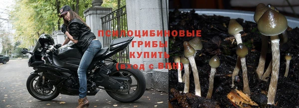 ALPHA PVP Абинск