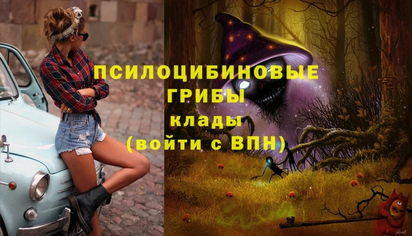 ALPHA PVP Абинск